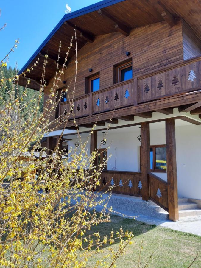 Chalet Mugure De Brad Fundu Moldovei Exterior foto