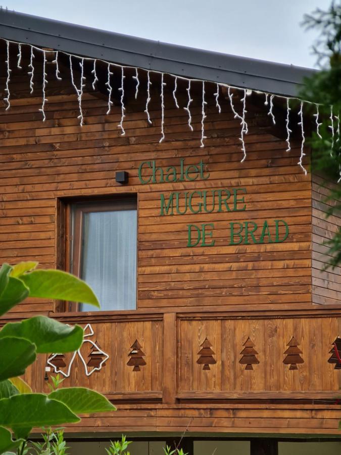 Chalet Mugure De Brad Fundu Moldovei Exterior foto